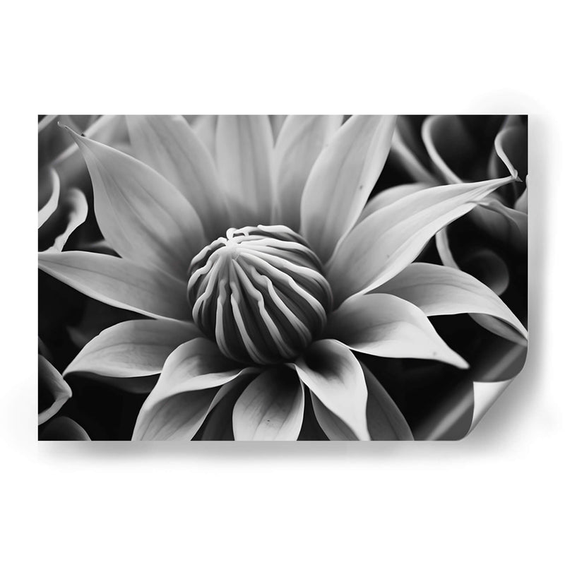 Capullo - Juliana Estrada | Cuadro decorativo de Canvas Lab