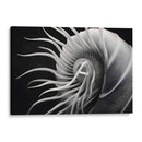 Flor Calamar - Juliana Estrada | Cuadro decorativo de Canvas Lab