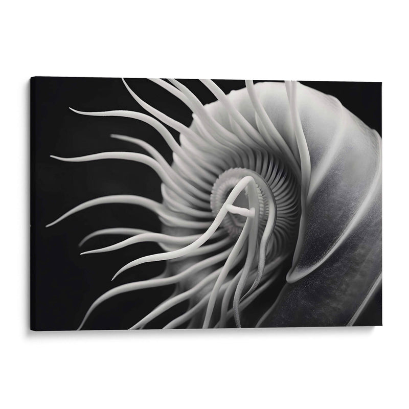 Flor Calamar - Juliana Estrada | Cuadro decorativo de Canvas Lab