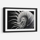 Flor Calamar - Juliana Estrada | Cuadro decorativo de Canvas Lab