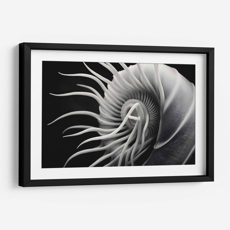 Flor Calamar - Juliana Estrada | Cuadro decorativo de Canvas Lab