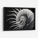 Flor Calamar - Juliana Estrada | Cuadro decorativo de Canvas Lab