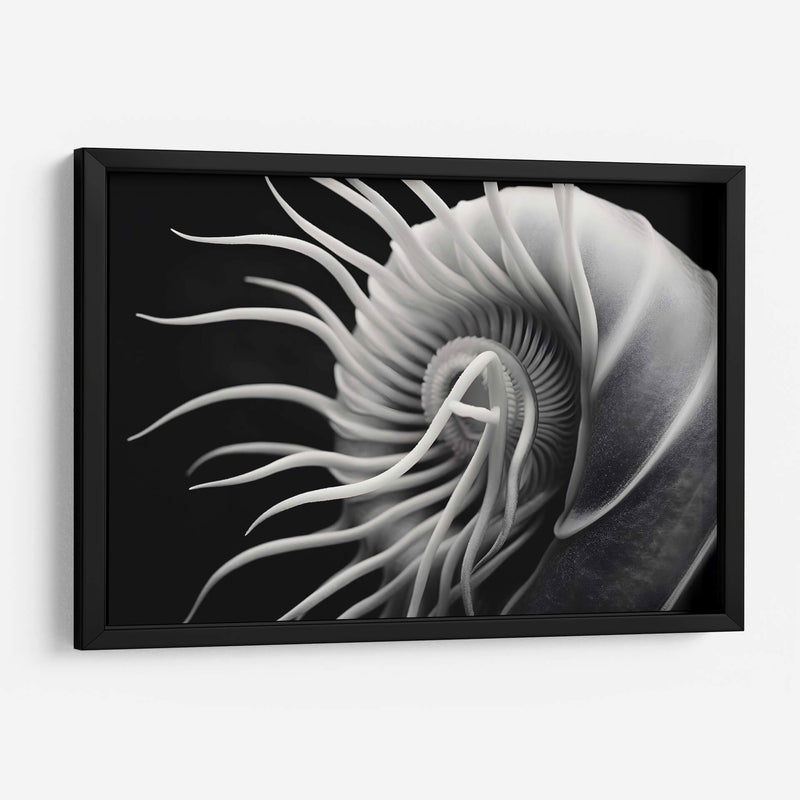 Flor Calamar - Juliana Estrada | Cuadro decorativo de Canvas Lab