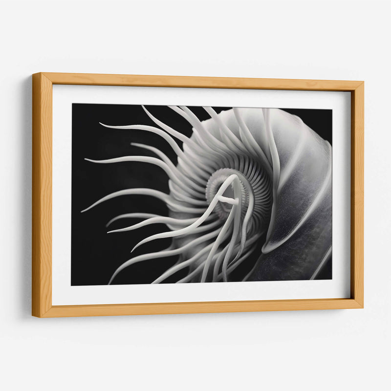 Flor Calamar - Juliana Estrada | Cuadro decorativo de Canvas Lab