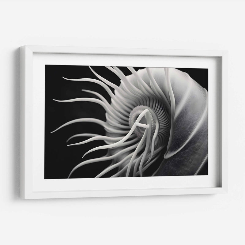 Flor Calamar - Juliana Estrada | Cuadro decorativo de Canvas Lab