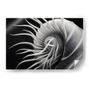 Flor Calamar - Juliana Estrada | Cuadro decorativo de Canvas Lab