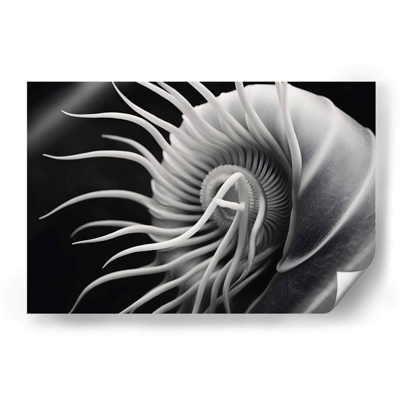 Flor Calamar - Juliana Estrada | Cuadro decorativo de Canvas Lab