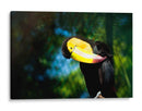 TUCÁN - MICHEL ARCIGA LIFESTYLE PHOTOGRAPHY | Cuadro decorativo de Canvas Lab