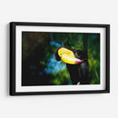 TUCÁN - MICHEL ARCIGA LIFESTYLE PHOTOGRAPHY | Cuadro decorativo de Canvas Lab