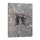 Mariposa en Asfalto - FotoCompagny | Cuadro decorativo de Canvas Lab