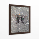 Mariposa en Asfalto - FotoCompagny | Cuadro decorativo de Canvas Lab