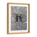 Mariposa en Asfalto - FotoCompagny | Cuadro decorativo de Canvas Lab