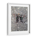 Mariposa en Asfalto - FotoCompagny | Cuadro decorativo de Canvas Lab