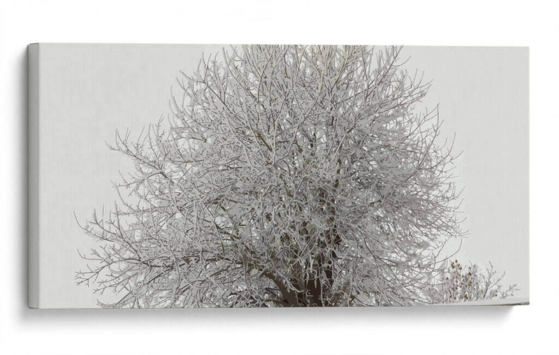 Árbol nevado - Jabin Adiel | Cuadro decorativo de Canvas Lab