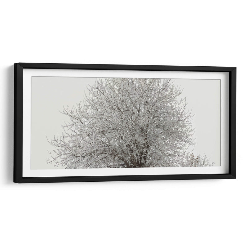Árbol nevado - Jabin Adiel | Cuadro decorativo de Canvas Lab