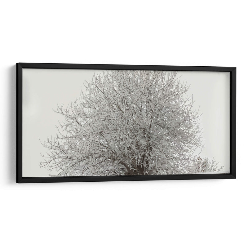 Árbol nevado - Jabin Adiel | Cuadro decorativo de Canvas Lab