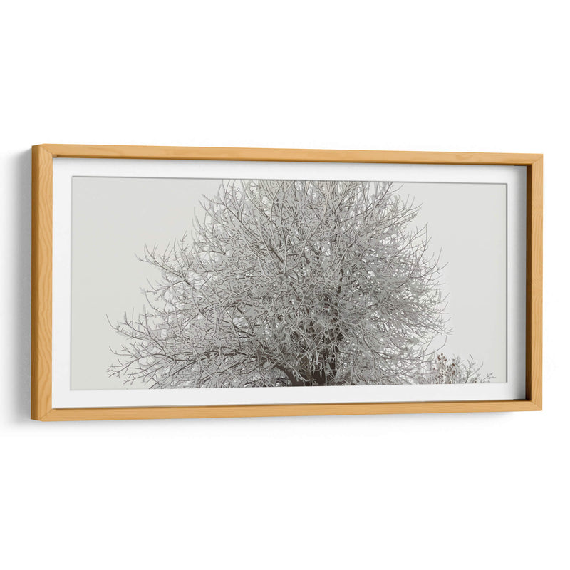 Árbol nevado - Jabin Adiel | Cuadro decorativo de Canvas Lab