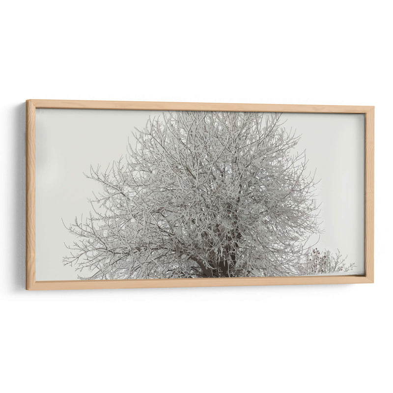 Árbol nevado - Jabin Adiel | Cuadro decorativo de Canvas Lab