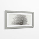 Árbol nevado - Jabin Adiel | Cuadro decorativo de Canvas Lab