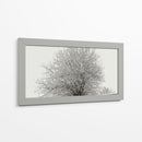 Árbol nevado - Jabin Adiel | Cuadro decorativo de Canvas Lab