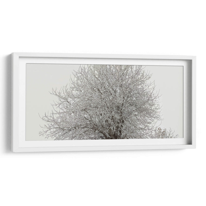 Árbol nevado - Jabin Adiel | Cuadro decorativo de Canvas Lab