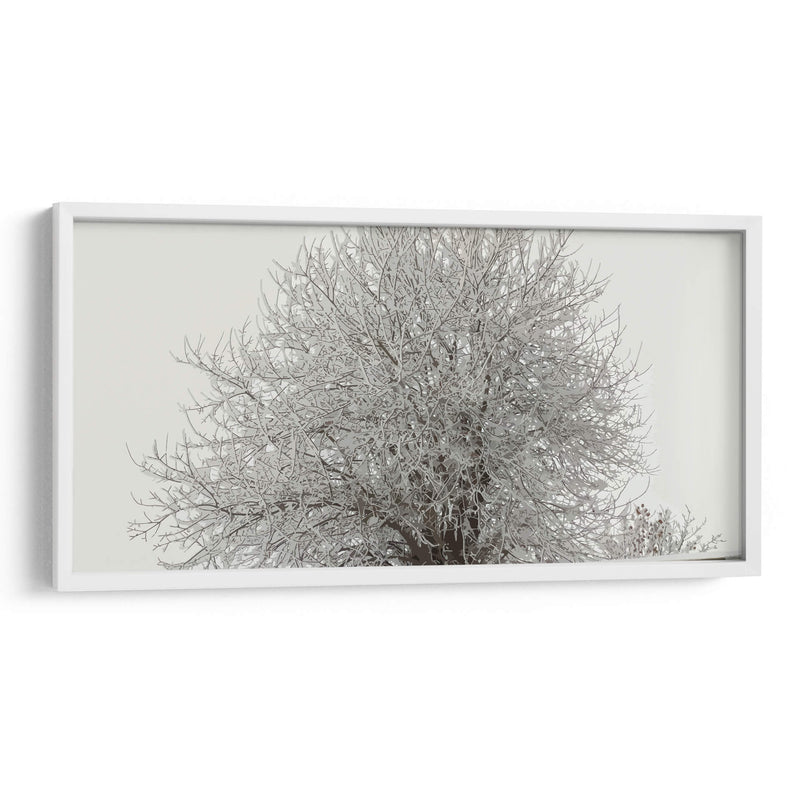 Árbol nevado - Jabin Adiel | Cuadro decorativo de Canvas Lab