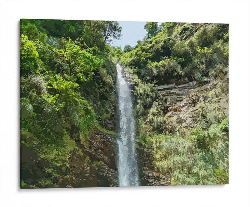 Cascada salvaje - Jabin Adiel | Cuadro decorativo de Canvas Lab