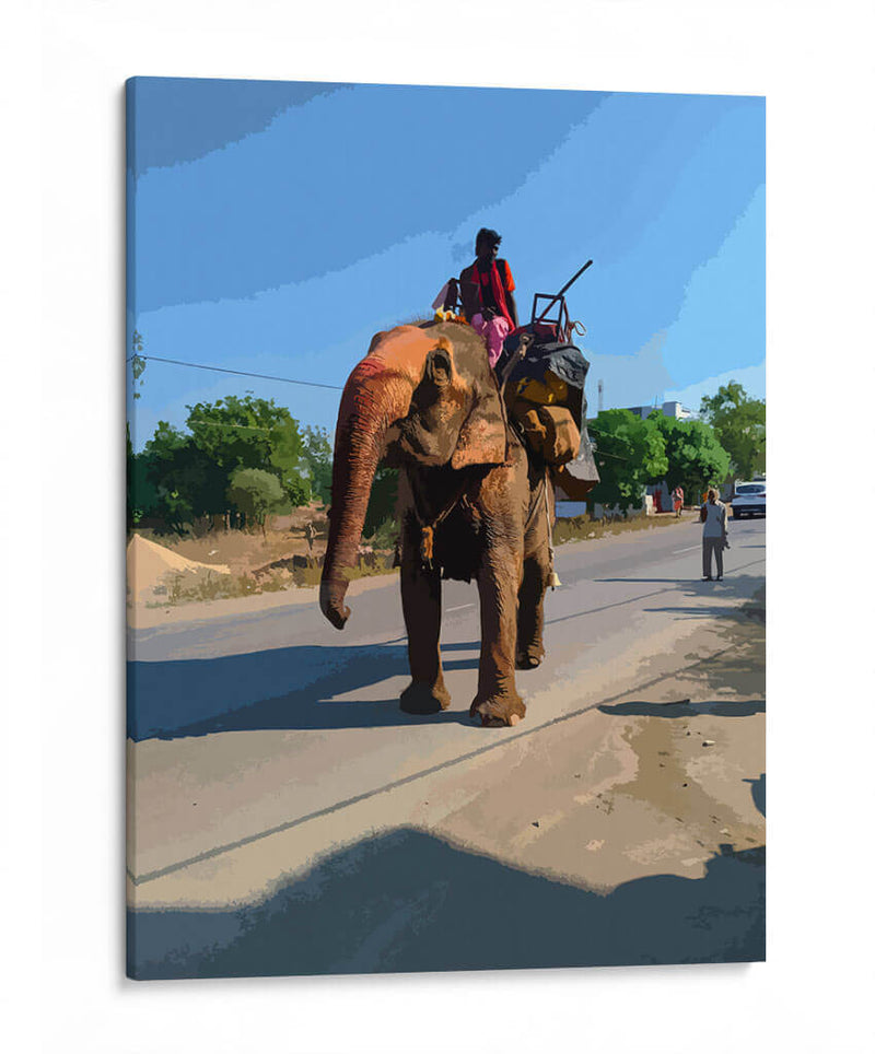 Elefante africano - Jabin Adiel | Cuadro decorativo de Canvas Lab