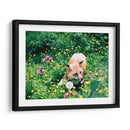 Zorro en el campo | Cuadro decorativo de Canvas Lab