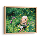 Zorro en el campo | Cuadro decorativo de Canvas Lab