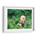 Zorro en el campo | Cuadro decorativo de Canvas Lab