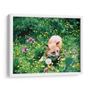 Zorro en el campo | Cuadro decorativo de Canvas Lab
