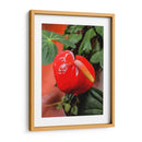 Flor anturio - Jabin Adiel | Cuadro decorativo de Canvas Lab