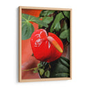 Flor anturio - Jabin Adiel | Cuadro decorativo de Canvas Lab