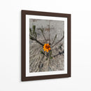 Flor desértica - Jabin Adiel | Cuadro decorativo de Canvas Lab