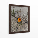Flor desértica - Jabin Adiel | Cuadro decorativo de Canvas Lab