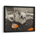 Hámster espacial - Jabin Adiel | Cuadro decorativo de Canvas Lab