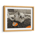 Hámster espacial - Jabin Adiel | Cuadro decorativo de Canvas Lab