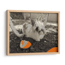 Hámster espacial - Jabin Adiel | Cuadro decorativo de Canvas Lab