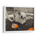 Hámster espacial - Jabin Adiel | Cuadro decorativo de Canvas Lab