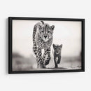 Cheetahs Caminando - Pat G | Cuadro decorativo de Canvas Lab