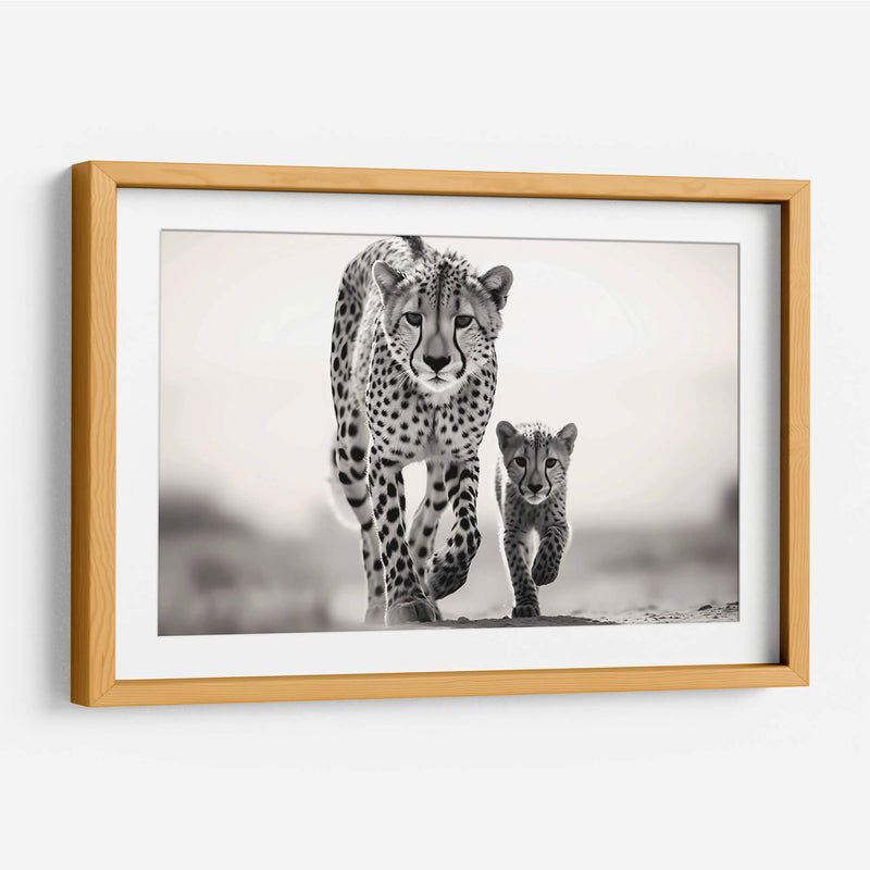 Cheetahs Caminando - Pat G | Cuadro decorativo de Canvas Lab