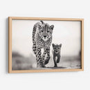 Cheetahs Caminando - Pat G | Cuadro decorativo de Canvas Lab
