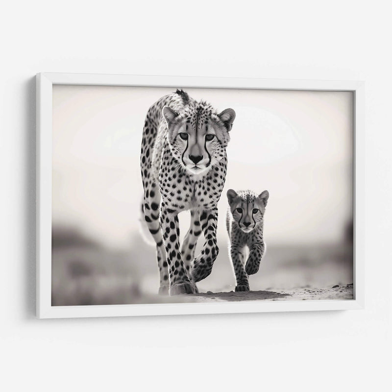 Cheetahs Caminando - Pat G | Cuadro decorativo de Canvas Lab