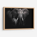 Elefantes En Familia - Pat G | Cuadro decorativo de Canvas Lab