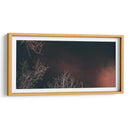 Noche estrellada - Jabin Adiel | Cuadro decorativo de Canvas Lab