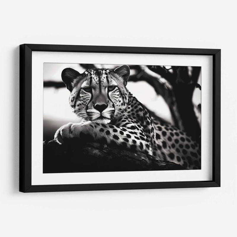Cheetah - Pat G | Cuadro decorativo de Canvas Lab