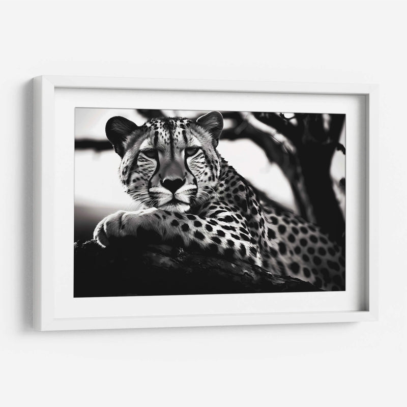 Cheetah - Pat G | Cuadro decorativo de Canvas Lab