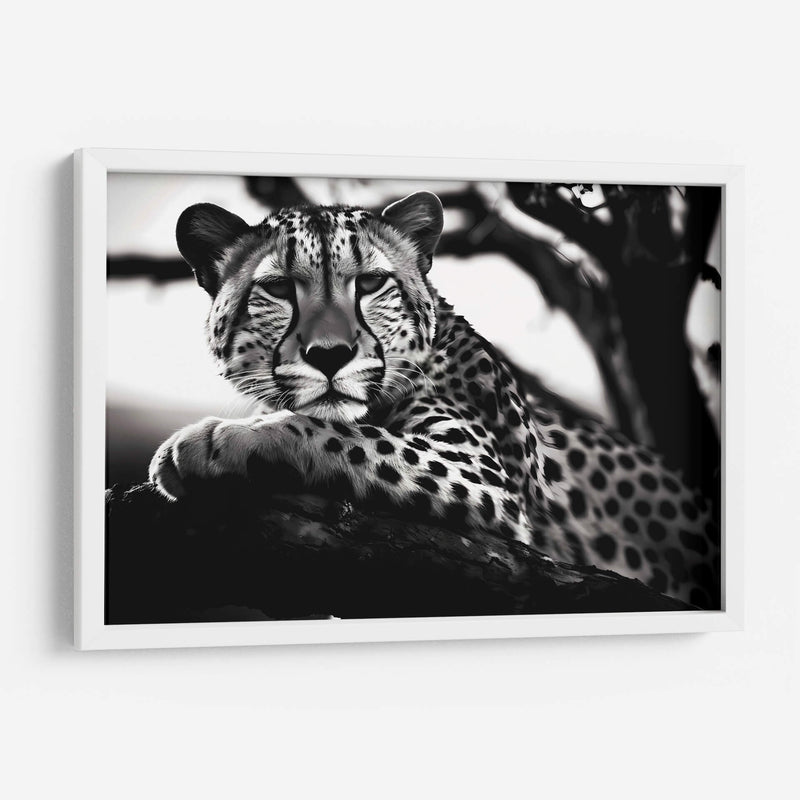 Cheetah - Pat G | Cuadro decorativo de Canvas Lab