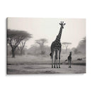 Familia De Jirafas - Pat G | Cuadro decorativo de Canvas Lab
